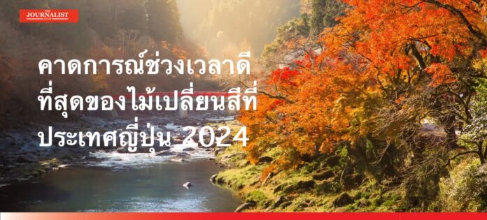 Japan คาดการณ์ ใบไม้เปลี่ยนสี ที่ประเทศญี่ปุ่น 2024