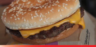 แมคโดนัลด์ นำเมนู ควอเตอร์พาวเดอร์ กลับมา หลังพบว่านื้อบดไม่ใช่แหล่งแพร่เชื้ออีโคไล