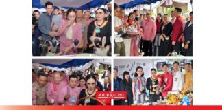 ททท. กาแฟ