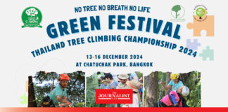 มาเรียนรู้ รักษ์ ดูแลต้นไม้ใหญ่ กับงาน Green Festival 2024: “No Tree, No Breath, No Life” 13-15 ธ.ค. 67 สวนจตุจักร กรุงเทพฯ